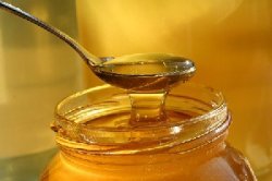 Pleasing Blameless Honey